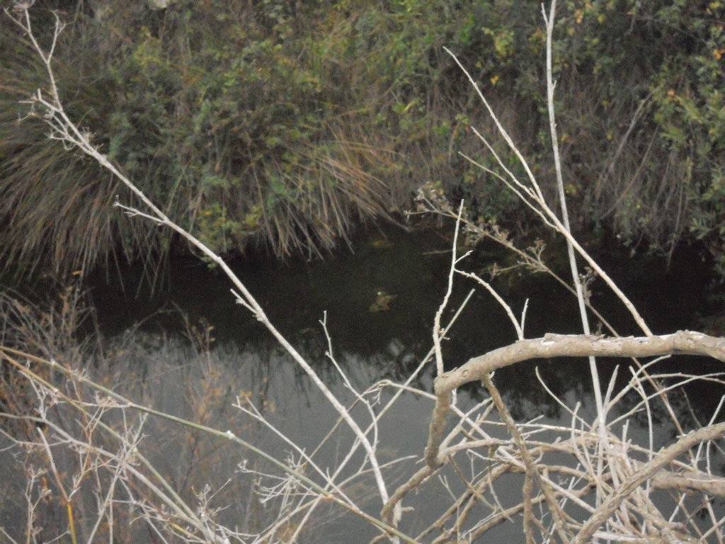 Finca en venta en Canillas de Aceituno