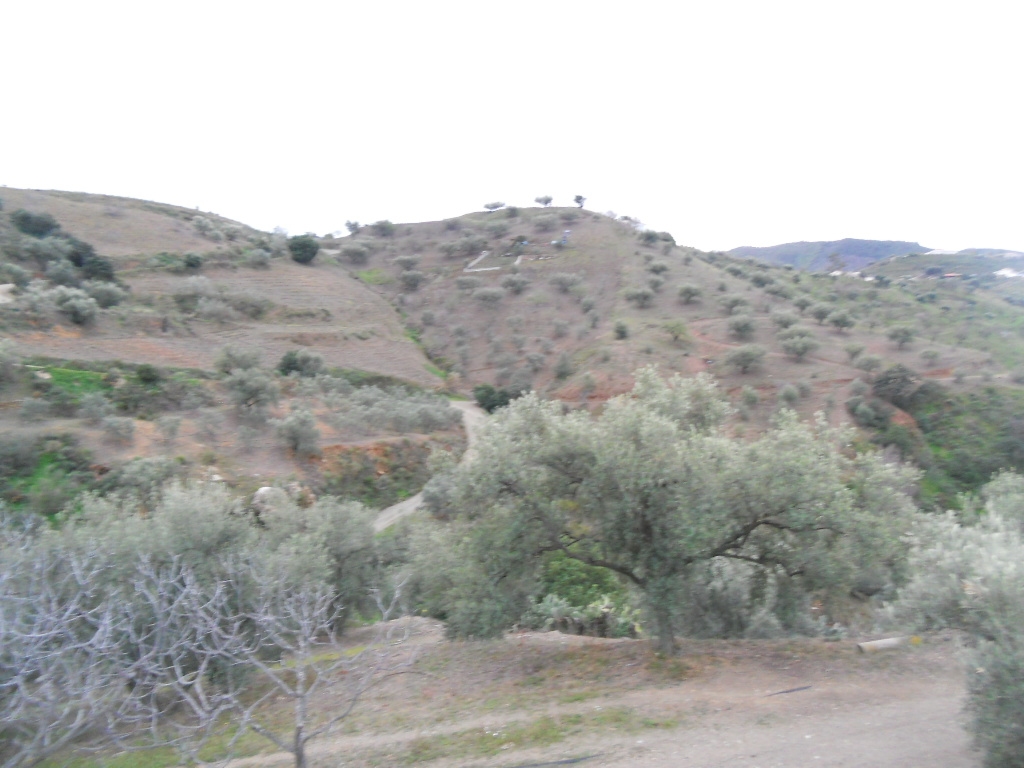 Finca en venta en Canillas de Aceituno