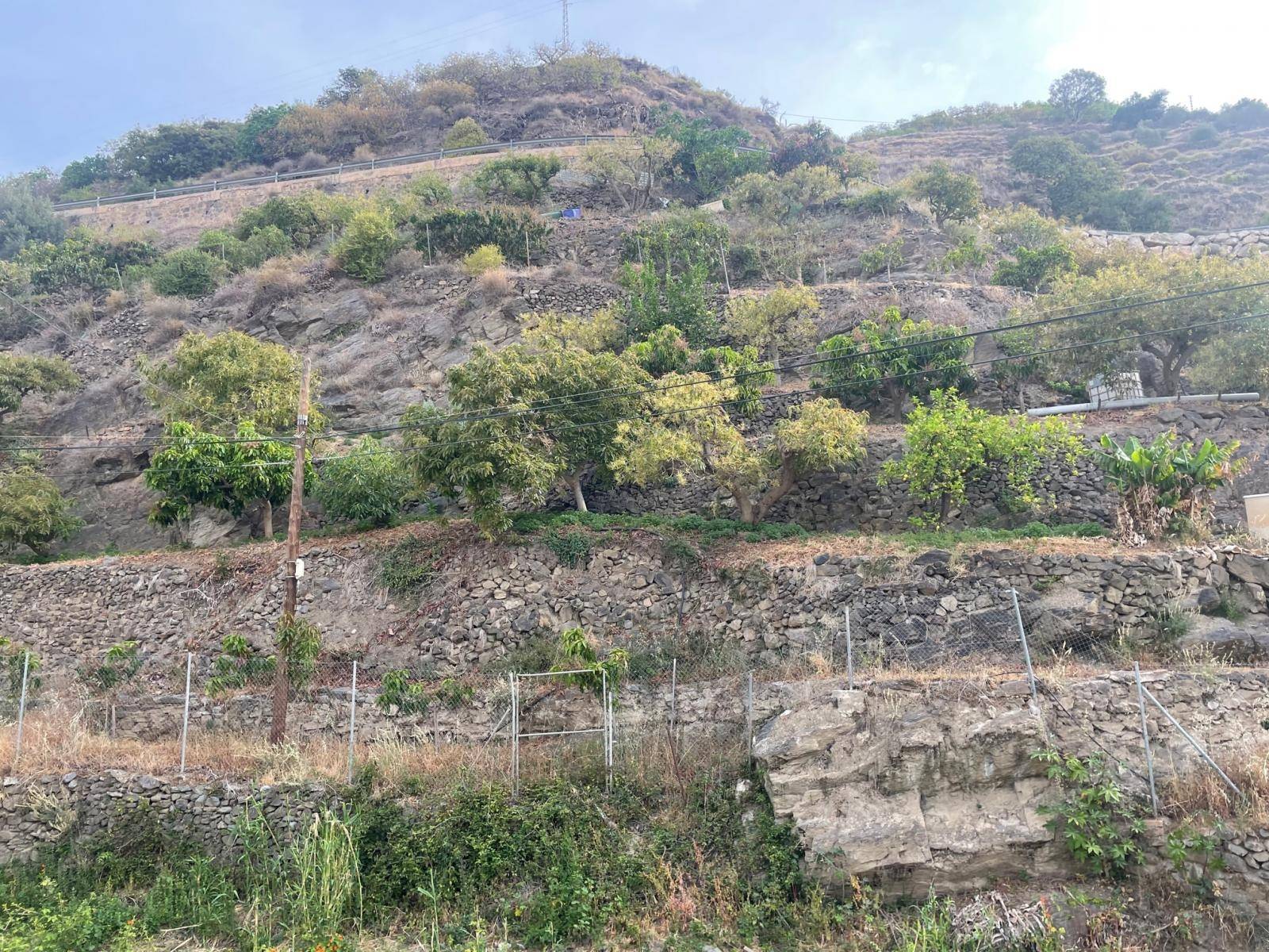 قطعة أرض للبيع في Algarrobo