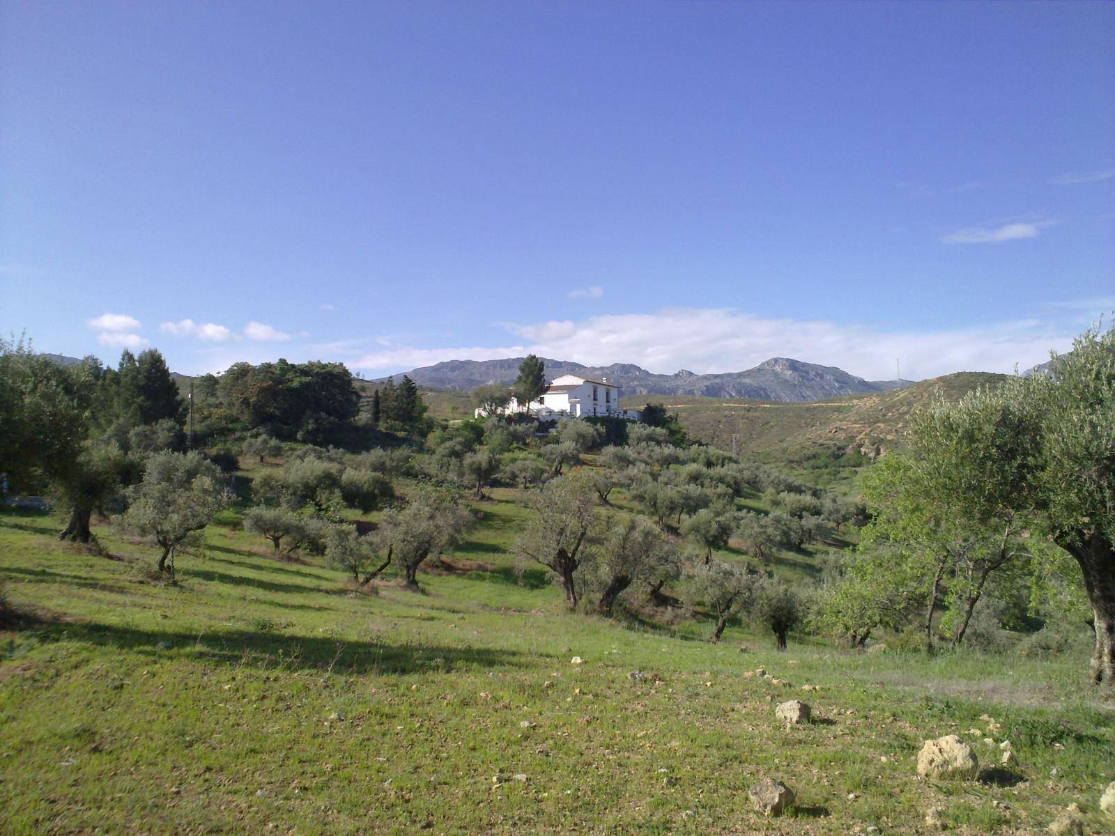Country Property v prodeji in Antequera