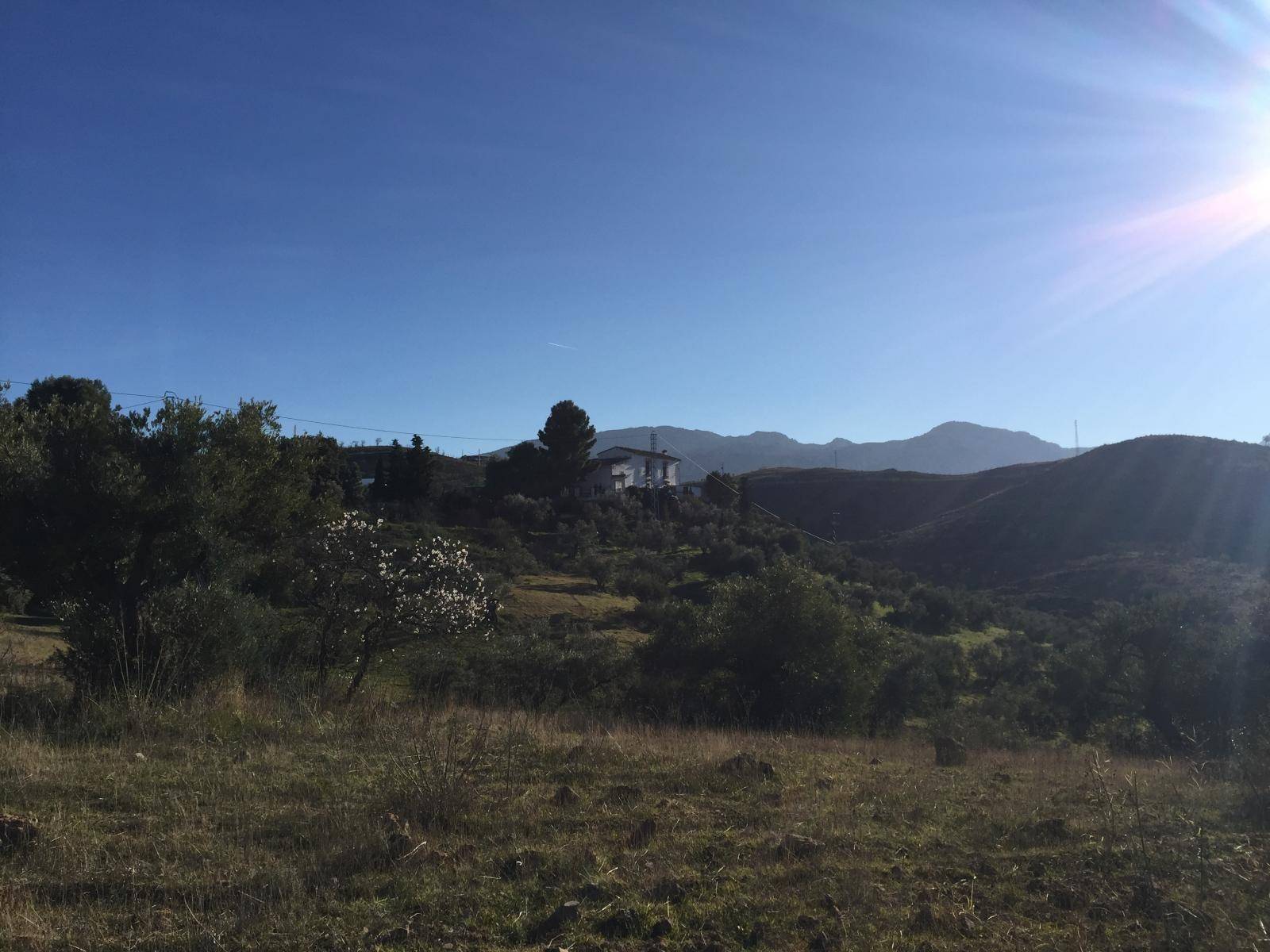 Country Property for sale in Antequera