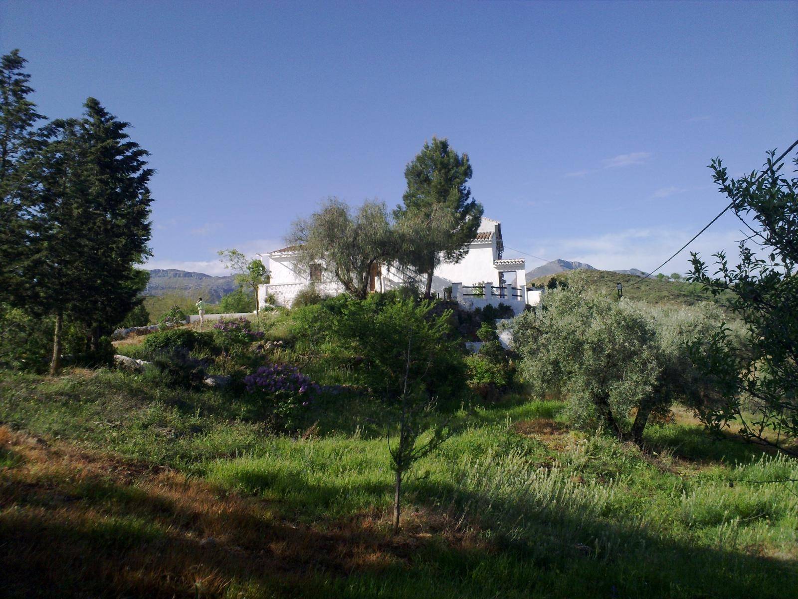 участок земли в продаже в Antequera