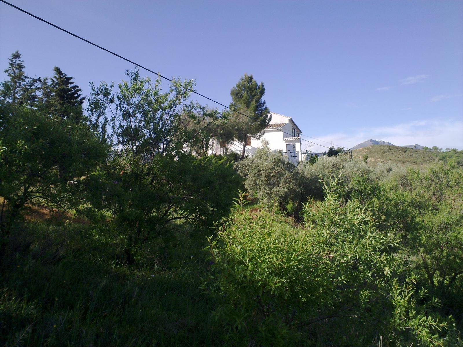 Grundstück zum verkauf in Antequera