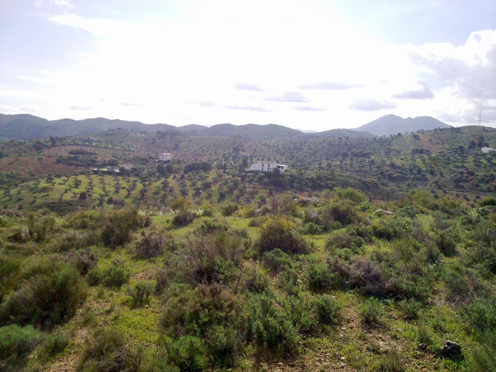 قطعة أرض للبيع في Antequera
