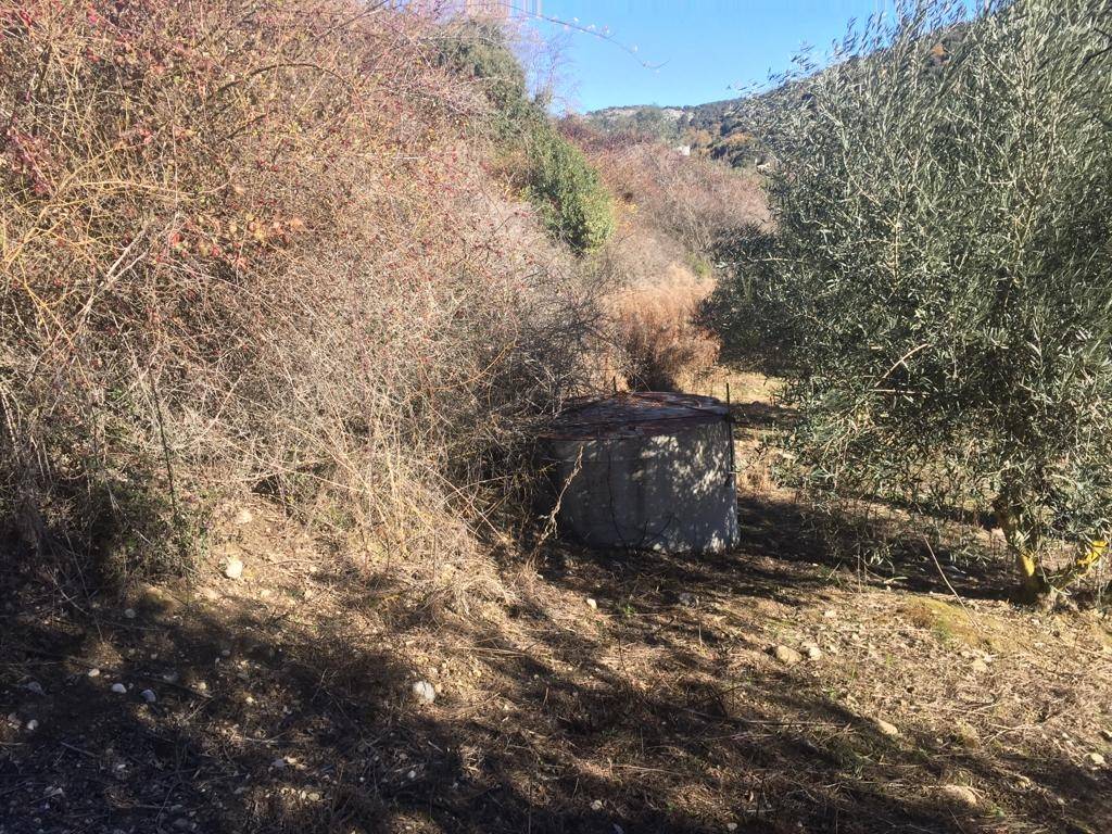 Country Property for sale in Alfarnate