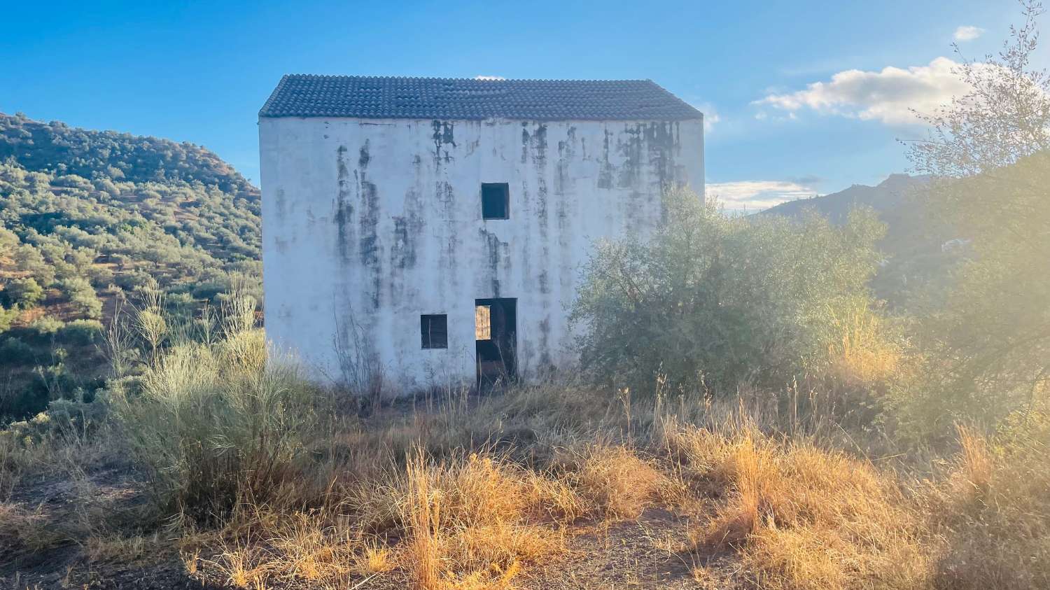 CHALET EN LOS ROMANES DE 177 M2 PARA TERMINAR CON PARCELA DE 13.800 M2 CON OLIVOS