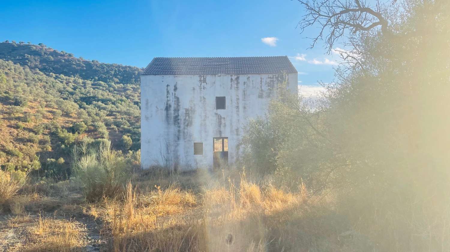 CHALET EN LOS ROMANES DE 177 M2 PARA TERMINAR CON PARCELA DE 13.800 M2 CON OLIVOS
