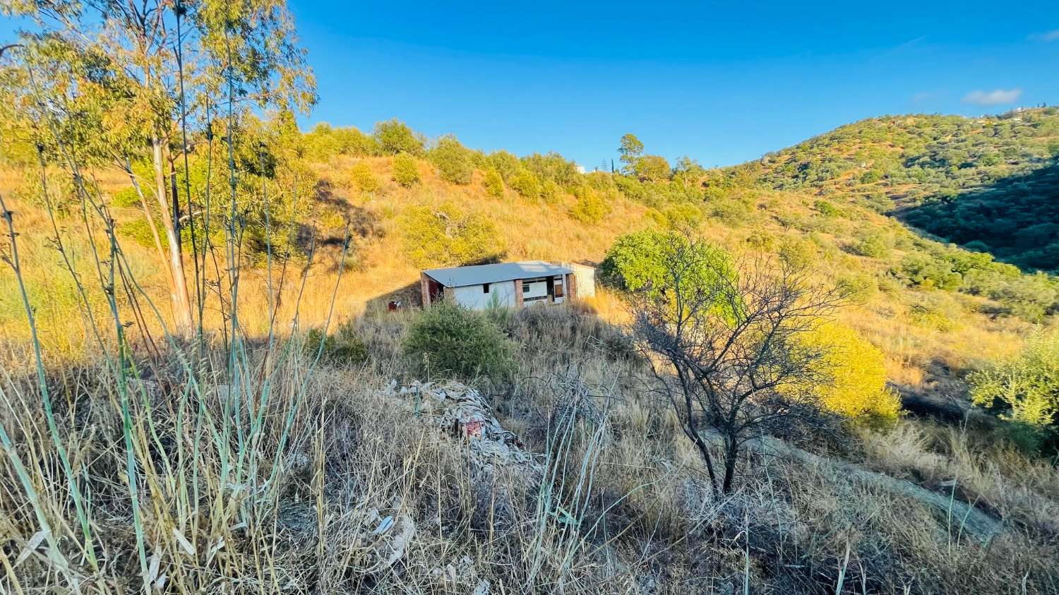 CHALET EN LOS ROMANES DE 177 M2 PARA TERMINAR CON PARCELA DE 13.800 M2 CON OLIVOS