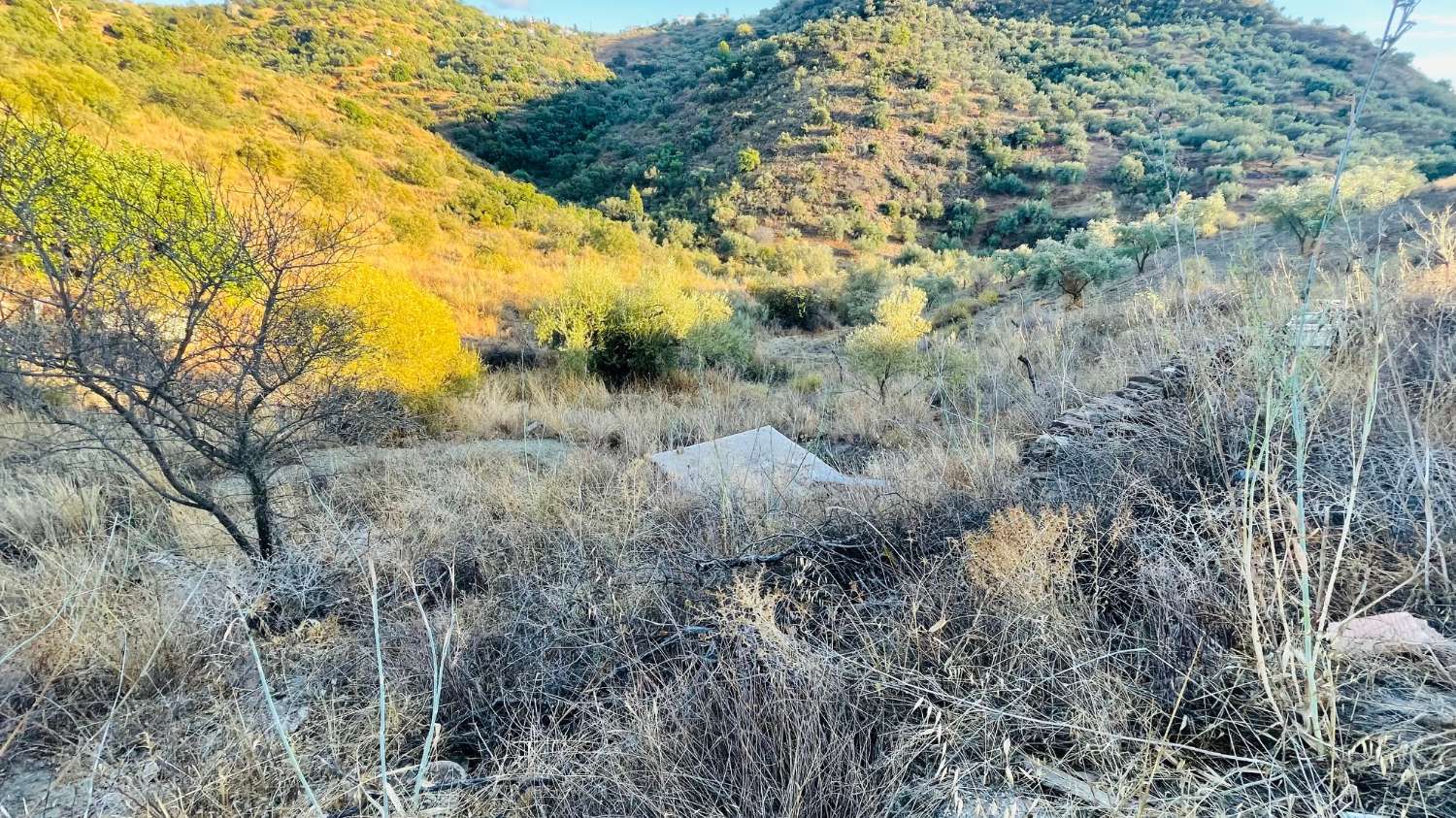 CHALET EN LOS ROMANES DE 177 M2 PARA TERMINAR CON PARCELA DE 13.800 M2 CON OLIVOS