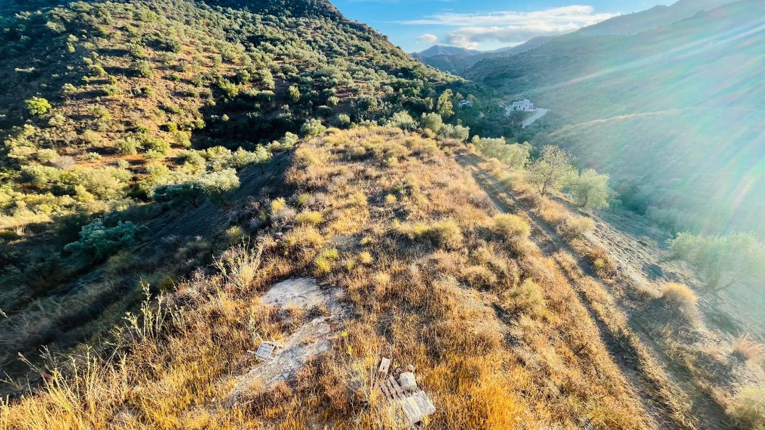 CHALET EN LOS ROMANES DE 177 M2 PARA TERMINAR CON PARCELA DE 13.800 M2 CON OLIVOS