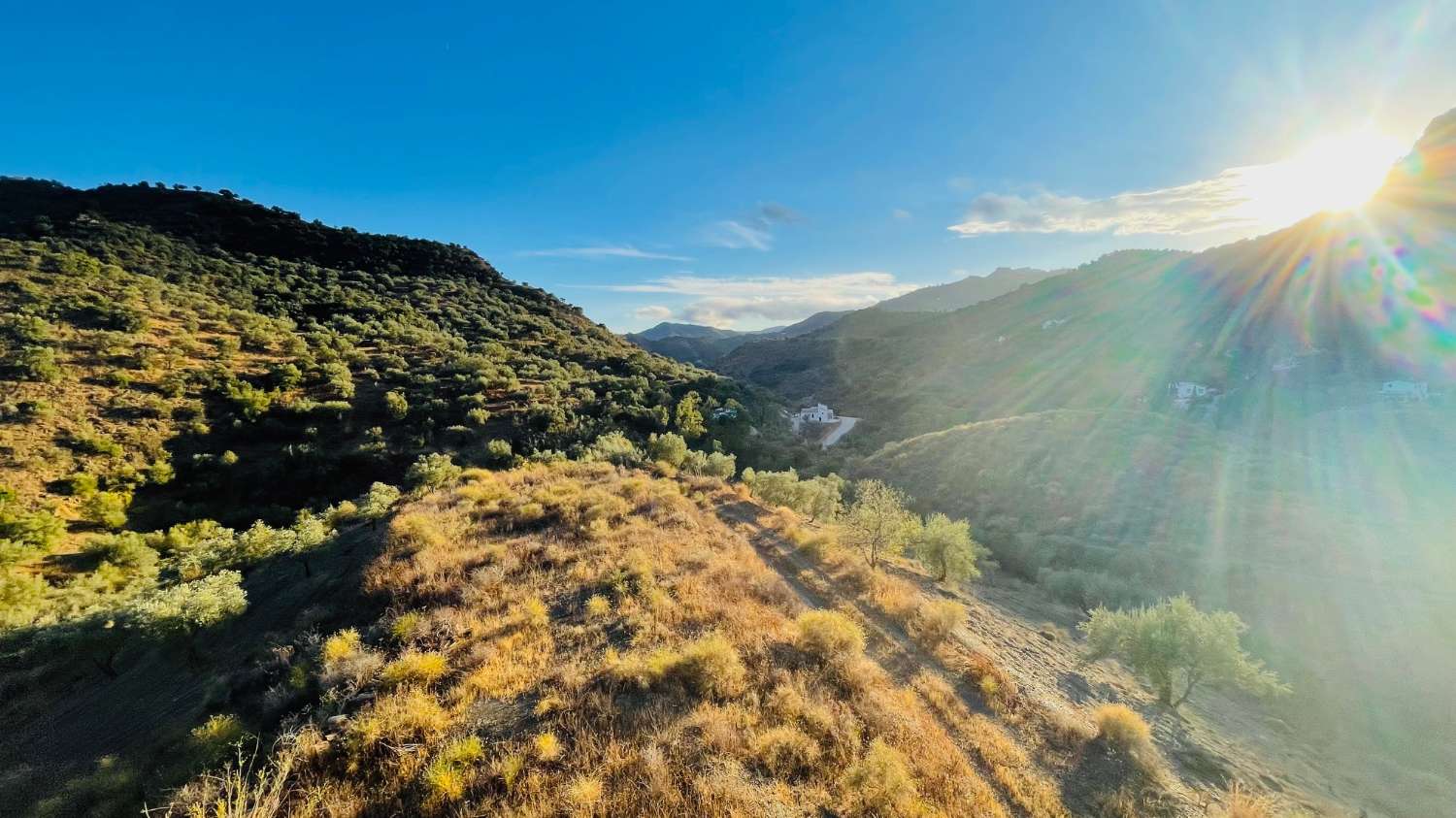 CHALET EN LOS ROMANES DE 177 M2 PARA TERMINAR CON PARCELA DE 13.800 M2 CON OLIVOS