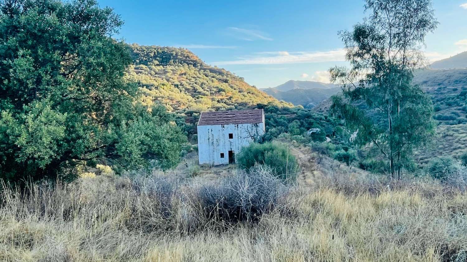 CHALET EN LOS ROMANES DE 177 M2 PARA TERMINAR CON PARCELA DE 13.800 M2 CON OLIVOS