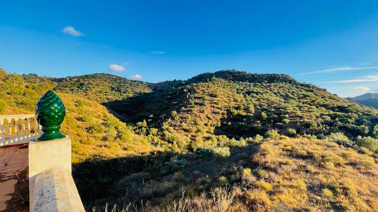 CHALET EN LOS ROMANES DE 177 M2 PARA TERMINAR CON PARCELA DE 13.800 M2 CON OLIVOS