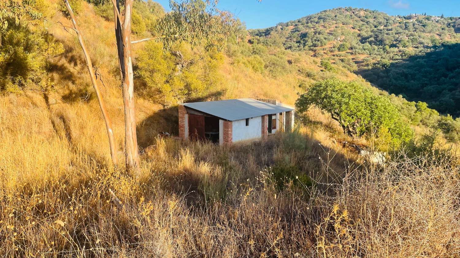 CHALET EN LOS ROMANES DE 177 M2 PARA TERMINAR CON PARCELA DE 13.800 M2 CON OLIVOS