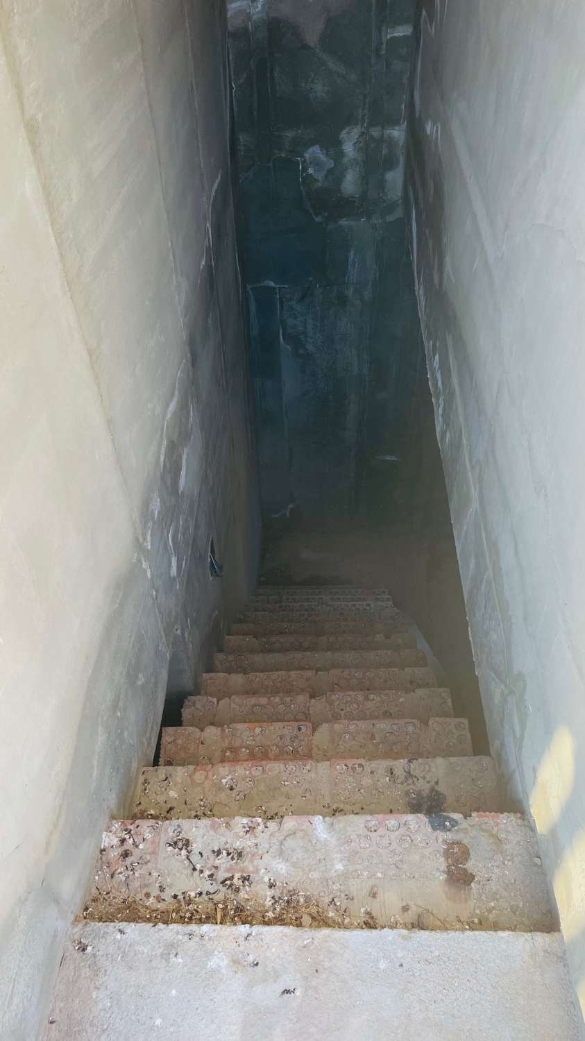 CHALET EN LOS ROMANES DE 177 M2 PARA TERMINAR CON PARCELA DE 13.800 M2 CON OLIVOS