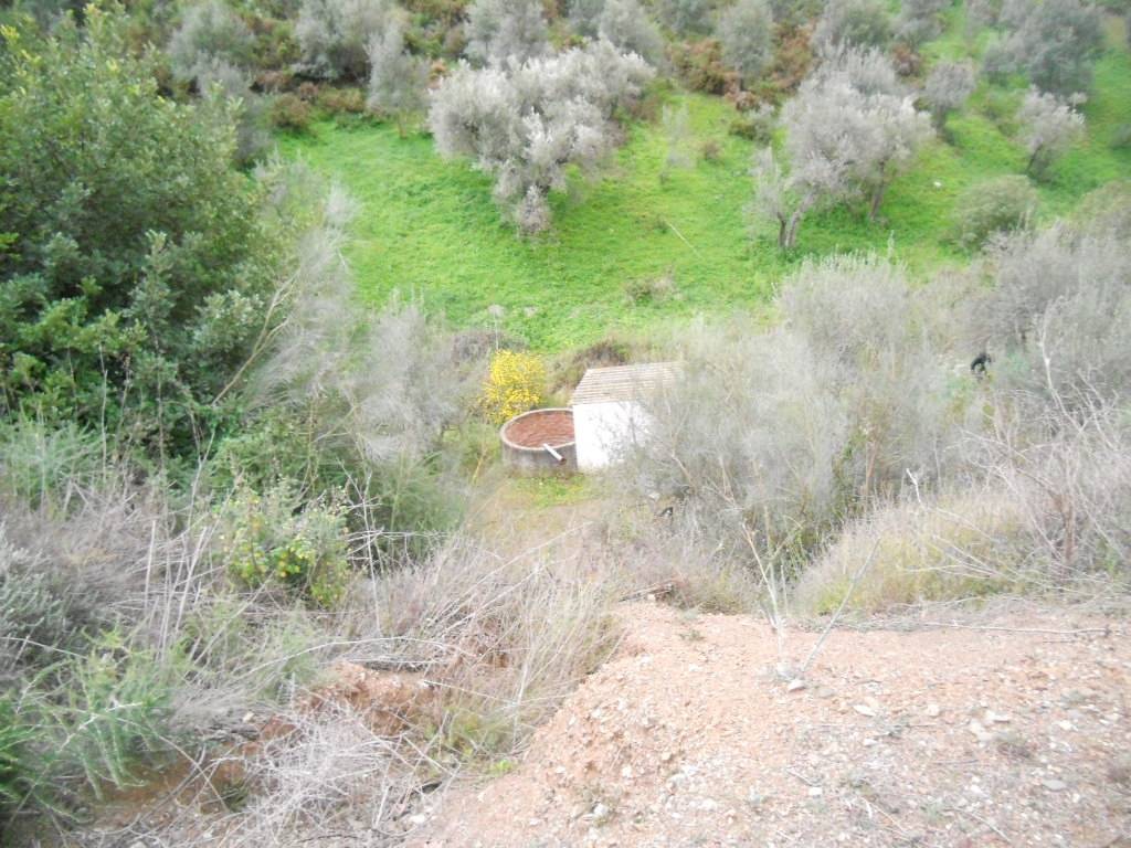 قطعة أرض للبيع في Canillas de Aceituno