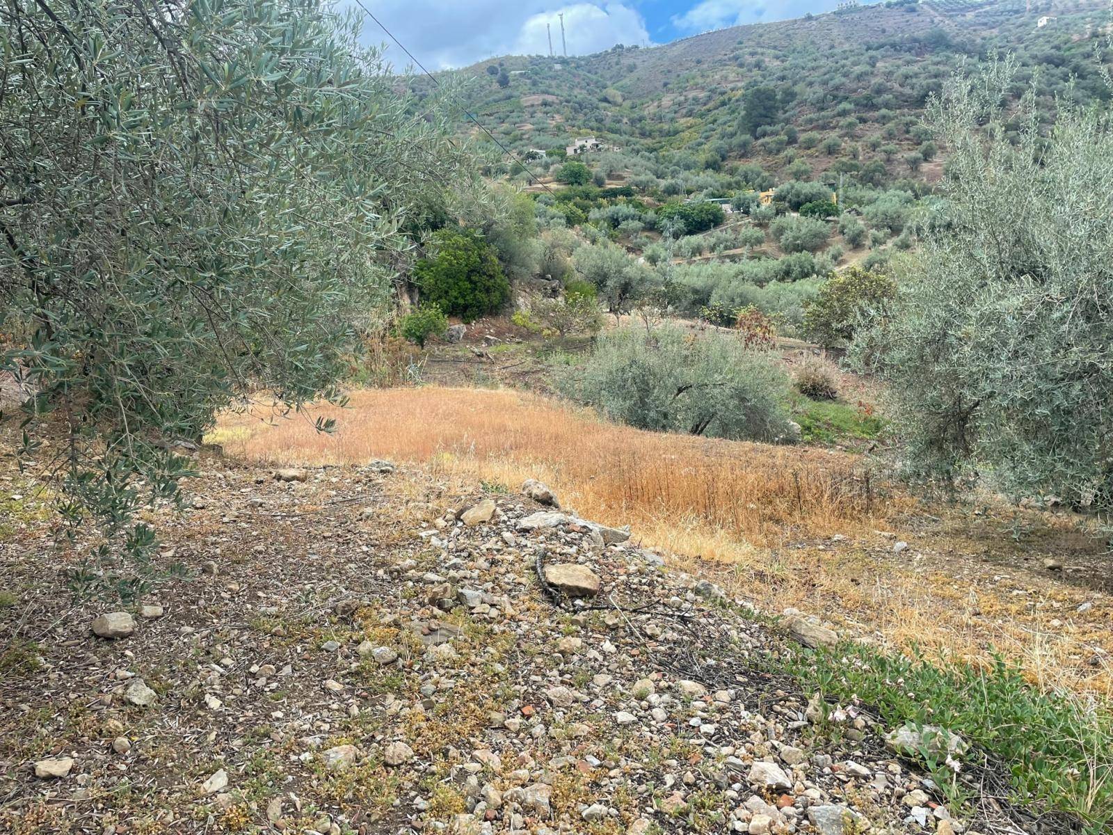 Finca en venta en Alcaucín