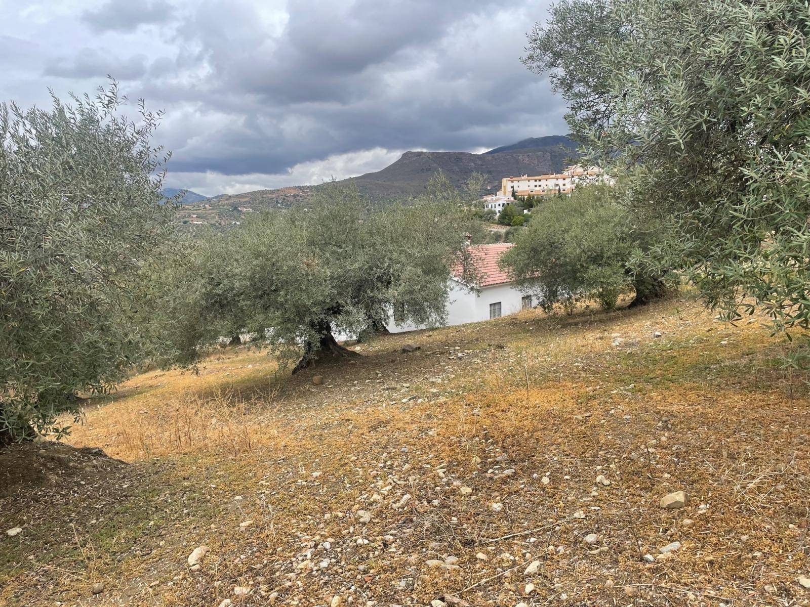 Finca en venta en Alcaucín