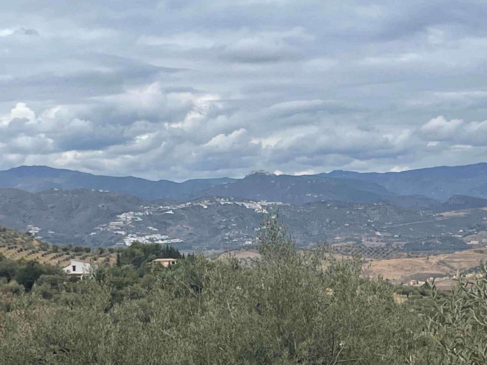 Country Property v prodeji in Alcaucín