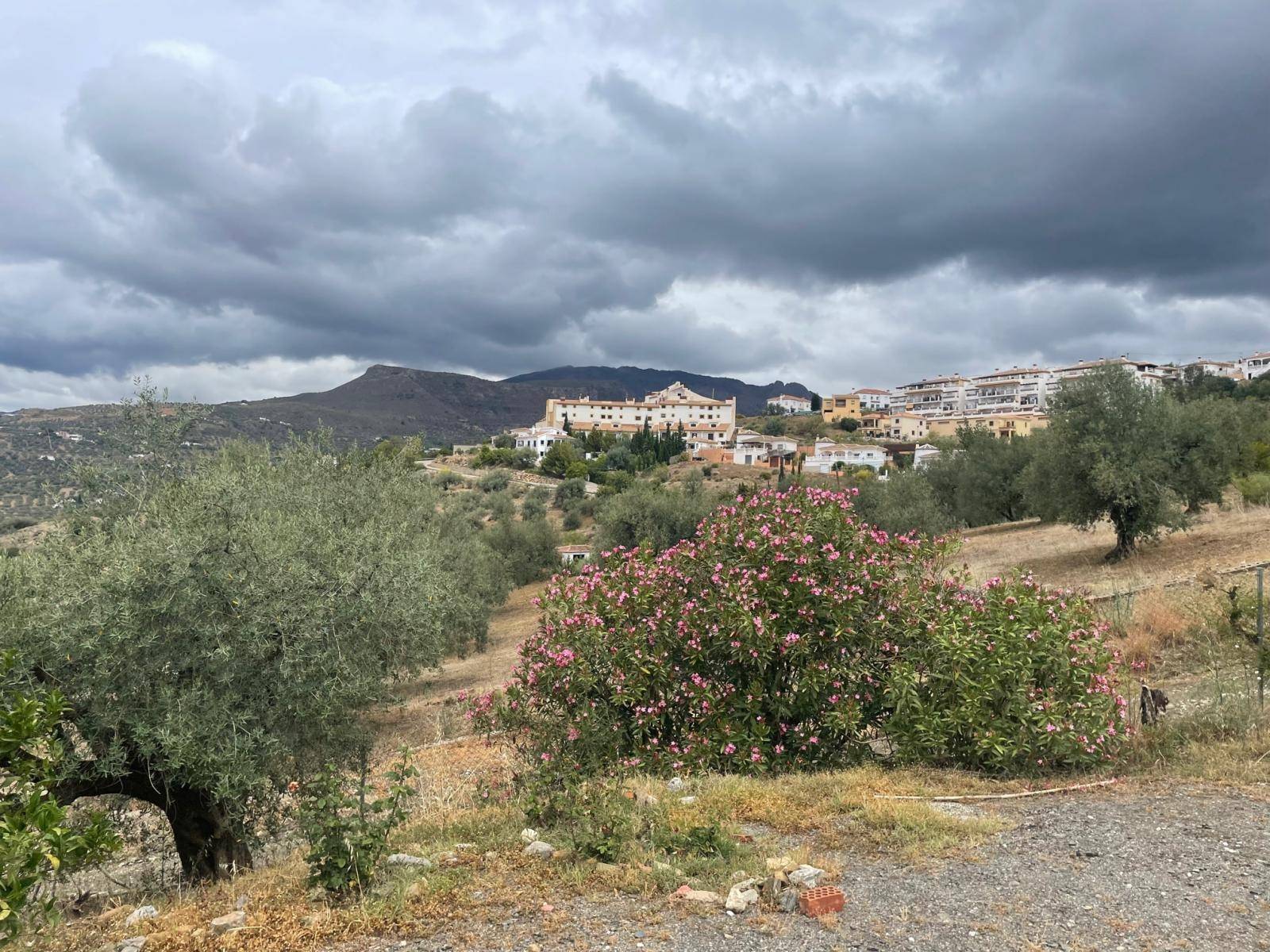 Finca en venta en Alcaucín