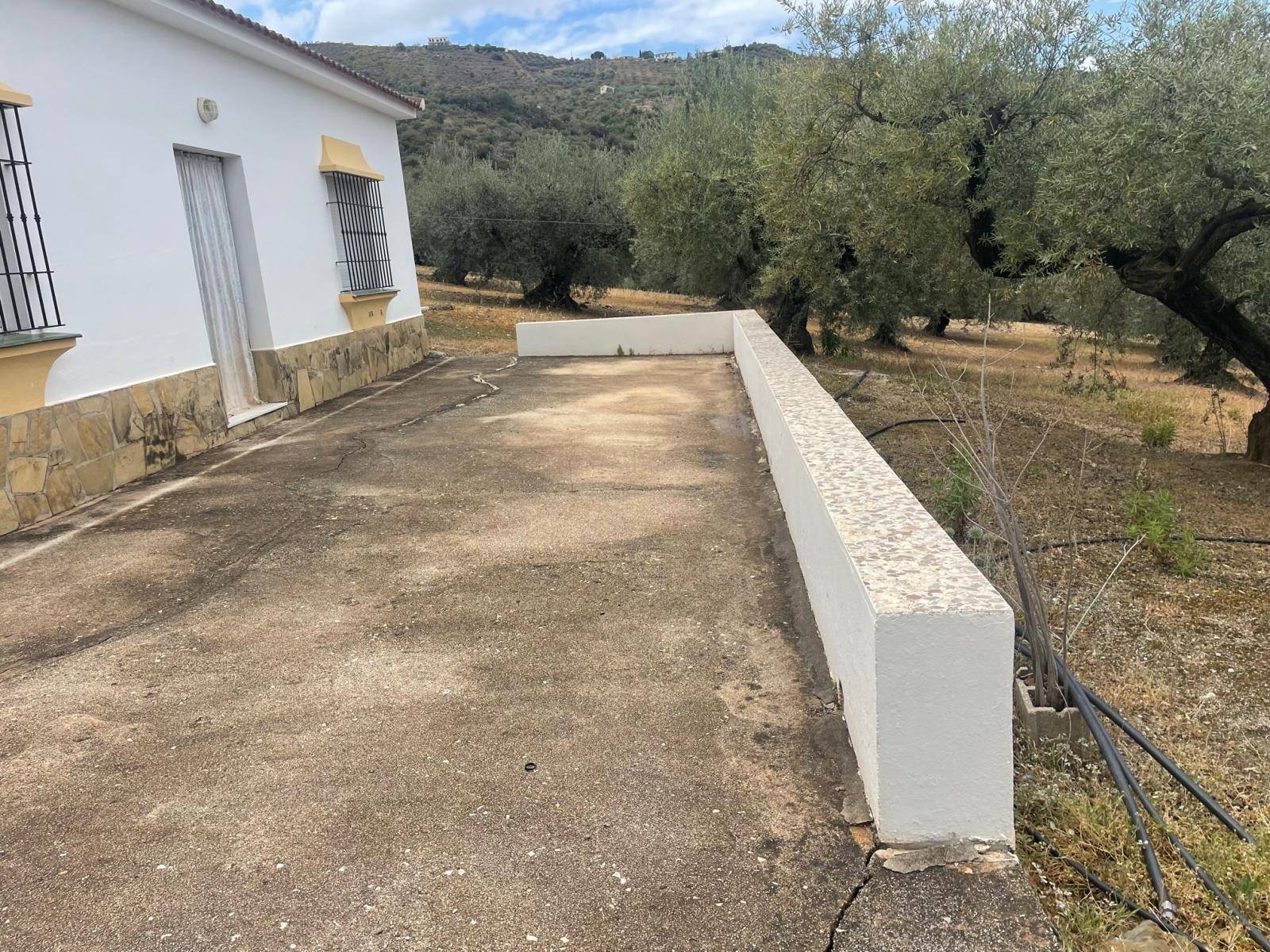 Finca en venta en Alcaucín