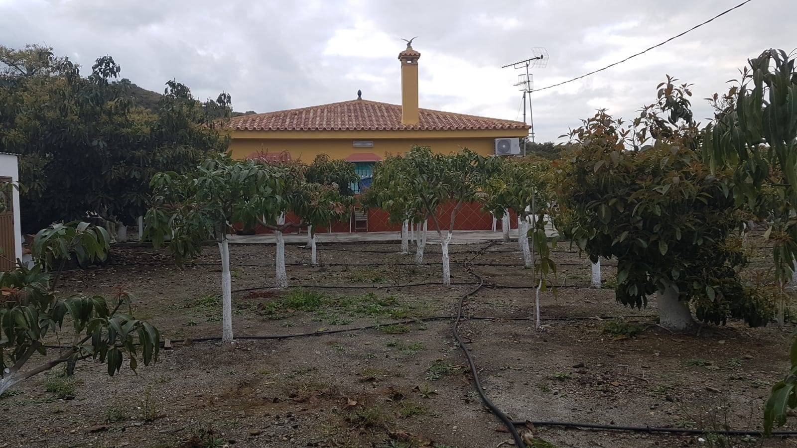 Grundstück zum verkauf in Vélez-Málaga