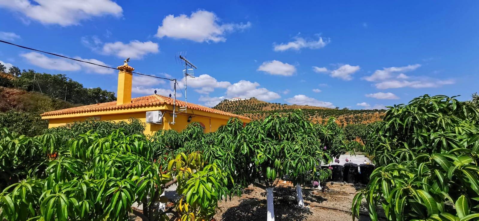 Country Property for sale in Vélez-Málaga