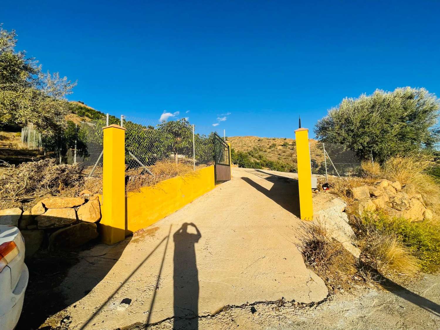 FINCA CON PARCELA DE 13.600 M2 CON 1.700 MANGOS EN PRODUCCIÓN