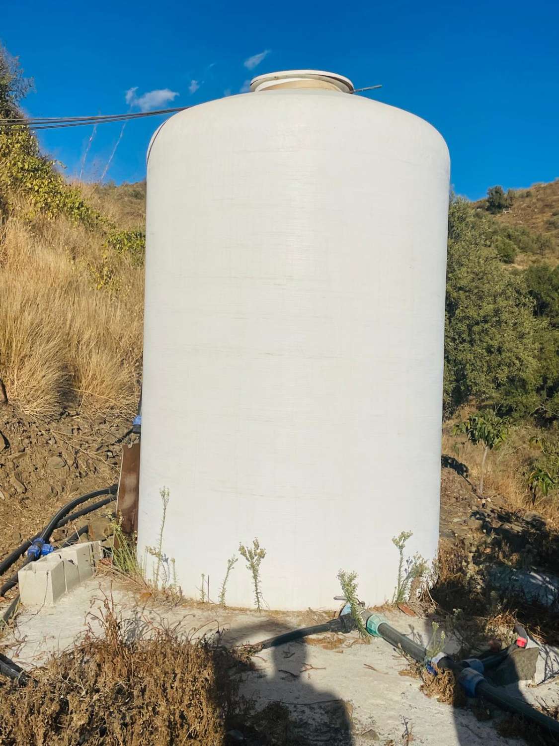FINCA CON PARCELA DE 13.600 M2 CON 1.700 MANGOS EN PRODUCCIÓN