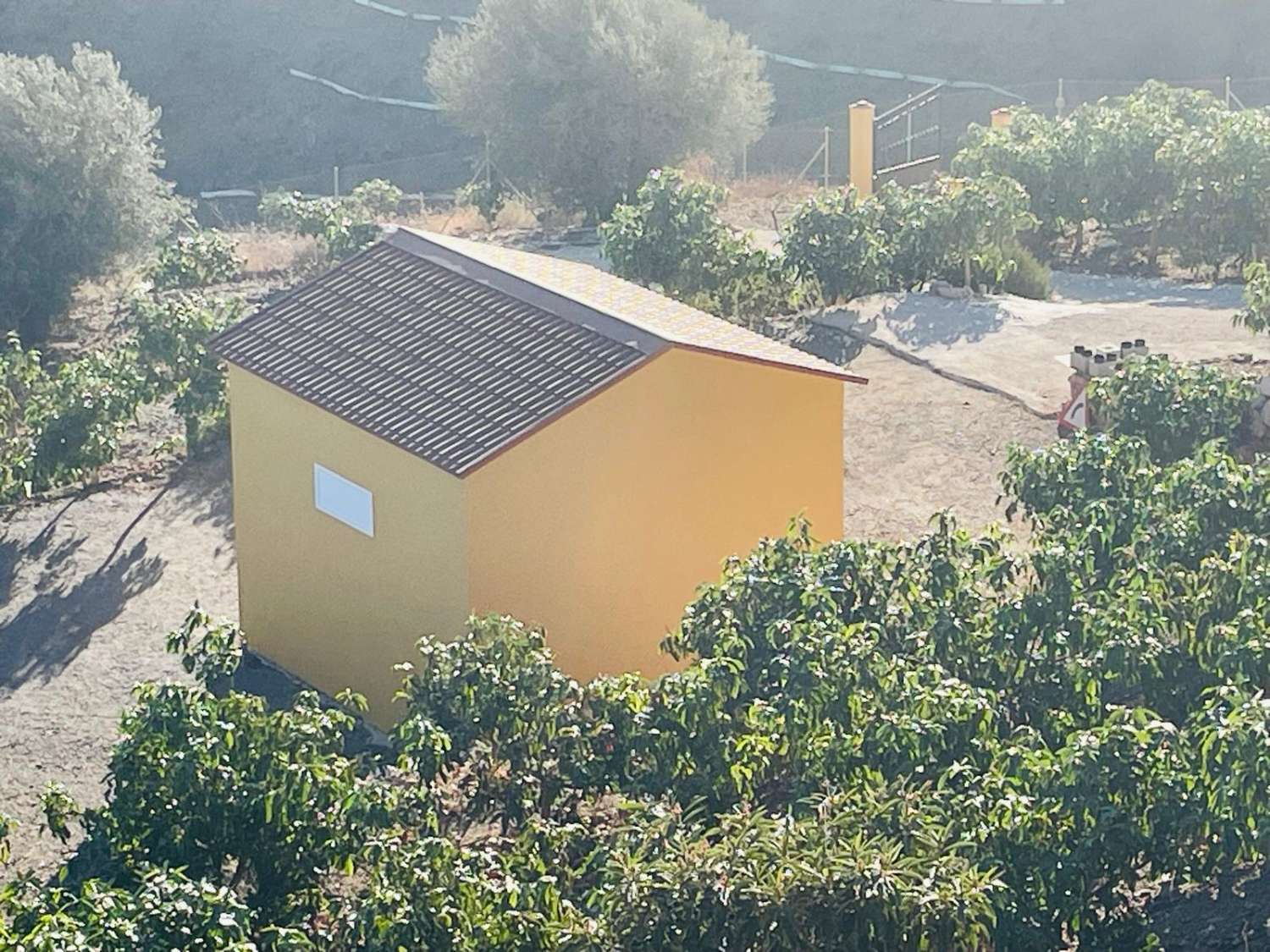 FINCA CON PARCELA DE 13.600 M2 CON 1.700 MANGOS EN PRODUCCIÓN