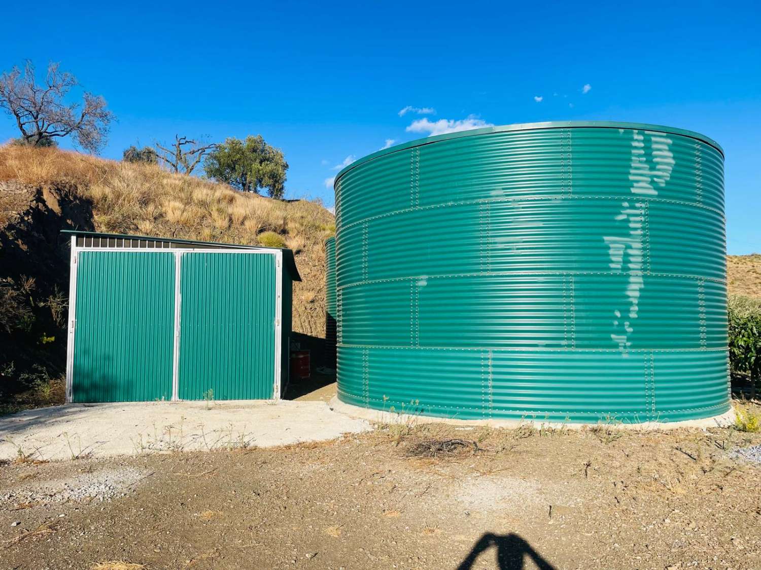 FINCA CON PARCELA DE 13.600 M2 CON 1.700 MANGOS EN PRODUCCIÓN