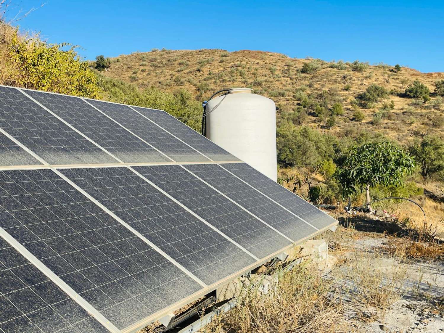 FINCA CON PARCELA DE 13.600 M2 CON 1.700 MANGOS EN PRODUCCIÓN