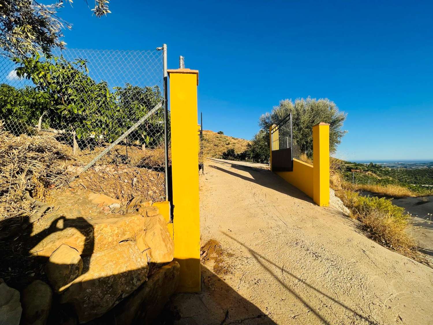 FINCA CON PARCELA DE 13.600 M2 CON 1.700 MANGOS EN PRODUCCIÓN
