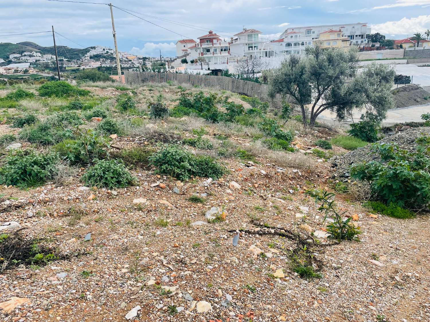 Parcela rústica de unos 2.700 m2 en Torrox-Costa